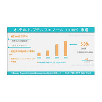O-テルト-ブチルフェノール（OTBP）市場：グローバル調査報告書、需要、規模、動向、メーカーシェア、成長、トレンド、見通し（2025-2035年）