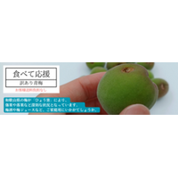 ひょう害の影響を受けた和歌山の青梅を応援！ ＪＡタウンで「和歌山の青梅　食べて応援企画」を実施