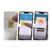 電通グループと大阪外食産業協会、“アメちゃんNFT”で外食産業向け人材ネットワーク構築の実証実験を開始