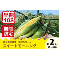 兵庫県産「スイートモーニング」の予約販売開始！ 先着100箱限定で早割価格10％OFF！今年から新規格登場。