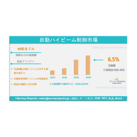 自動ハイビーム制御市場の需要、シェア、動向、成長、機会、洞察分析、2025-2035年