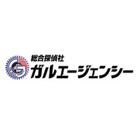 ５月２１日「探偵の日」に探偵・ガルが現れた。探偵ガルが依頼に応じて証拠を突き止める。そこで、目にする渦巻く人間模様は「ガルゴンクエスト」という壮大な冒険に…