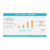 ホワイト（ナチュラル）水素市場：グローバル調査レポート、需要、規模、開発、メーカーシェア、成長、動向、見通し（2025年~2035年）