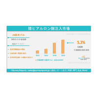 膝用ヒアルロン酸注射剤市場規模、シェア、業界動向および2035年までの世界予測
