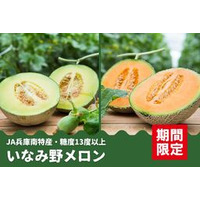 糖度13度以上！　兵庫県産「いなみ野メロン」（青肉・赤肉）の予約販売開始！