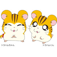 今日はトラハムくん＆トラハムちゃんのお誕生日！　　　　　　　『とっとこハム太郎』最新グッズ情報！