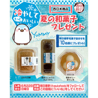 プレゼント企画！冷やして食べても美味しい夏の和菓子がもらえるキャンペーンを実施【6/9～6/22】