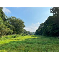 農地は耕作放棄された後も防災効果を維持する