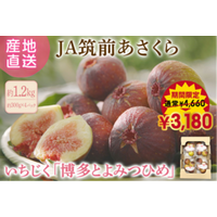JAタウンのショップ｢博多うまかショップ｣でお盆の生産者応援！｢博多とよみつひめ｣を特別価格で予約受付中！