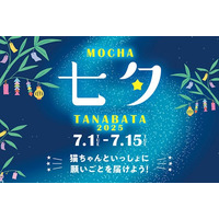猫カフェMOCHA全店で初の七夕イベント開催決定！かわいい猫と一緒に短冊に願いを込めようInstagram投稿でステキな賞品が当たるチャンスも「MOCHA七夕2025 ～にゃんざくに願いを込めて ～」
