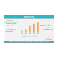 銅鉱業市場の動向、トレンド、需要、規模、シェア、成長分析および予測 2025-2035