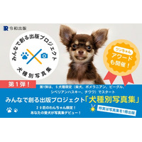 チワワ部門の募集開始！参加費完全無料：2025年度版 みんなでつくる「犬種別写真集」プロジェクト～特賞は愛犬だけの写真集