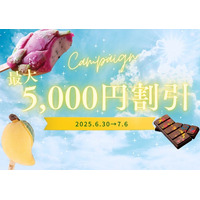 【最大5,000円引きキャンペーン】この夏の売れ筋3選！仕入れするなら今がチャンス！