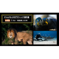 「ナショナル ジオグラフィック傑作選」BS10で7/4(金)～毎週金曜よる９時に無料放送！