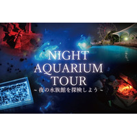 【南知多ビーチランド】夜の水族館を飼育員のガイド付きで巡るプレミアムツアー！「ナイトアクアリウムツアー」開催！＜愛知＞
