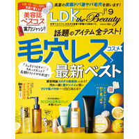 スッキリつるすべ肌を叶える毛穴レスコスメの最新ベストを調査！ 今っぽ眉のつくりかたやおすすめシングルシャドウでメイクをアップデート!!【LDK the Beauty 2025年9月号】