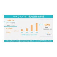 リチウムイオン電池分散剤市場の動向、規模、トレンド、メーカーのシェア、需要、成長分析および2025年から2035年までの予測