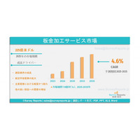 板金加工サービス市場の需要、シェア、動向、成長、機会およびインサイト分析（2025年～2035年）