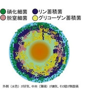 令和7年度AB-Crossプロジェクトに採択された「好気性グラニュールによる ダウンサイジング可能な下水処理技術」に関する委託契約を締結