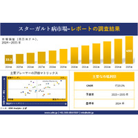 スターガルト病市場調査レポート - 世界市場規模、シェア、傾向の見通し、2025－2035年