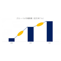 観覧車の世界市場調査レポート:競合分析、予測2025-2031