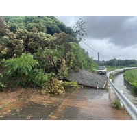 トラストバンク、ふるさとチョイス災害支援で、豪雨被害を受けた長崎県壱岐市に対するふるさと納税の寄付受付開始
