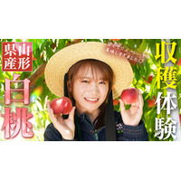 秋元真夏が山形県産の白桃を収穫体験！採れたての甘くてジューシーなももとパリッと食感のももを食べ比べ！