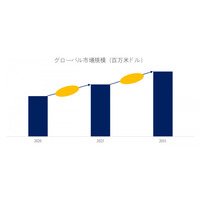 サプリメント用ソフトカプセル業界ランキング2025：売上、シェア、企業規模による分析