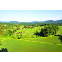 島根県奥出雲地域と和歌山県有田・下津地域が新たに世界農業遺産(GIAHS)に認定されました！