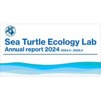 ウミガメの生態を科学的に解明し未来へつなぐ活動を行うNPO法人STEL、2024年度アニュアルレポートを公開