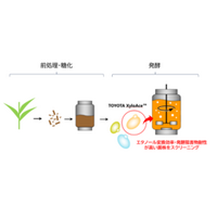 植物の非可食部から高効率でエタノールを生産する発酵プロセス