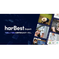 APTO、領域特化型 LLM Data Platform「harBest Expert」β版の運用を開始