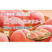 山形県産白桃が1週間限定セール!旬のみずみずしくて甘い白桃をJAタウン｢ジェイエイてんどうフーズ｣で販売中