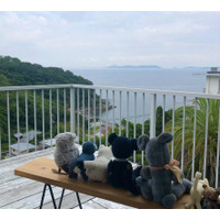 あなたのぬいぐるみが赤穂御崎の観光大使に!? ユニークな事前イベント参加者募集中