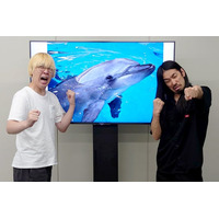 「真空ジェシカ VS イルカ in 新江ノ島水族館」会場チケット完売！大好評につきアーカイブ配信決定！！