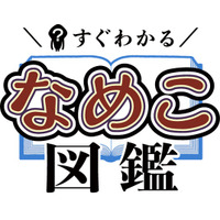 累計120万部のベストセラー『なめこ図鑑』シリーズがショートアニメ化！9月19日よりTikTok等で配信開始！