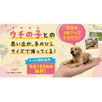 写真1枚で、愛するペットが手のひらサイズの3Dフィギュアに！「ちょこんとフィギュア」を9月29日（月）より提供開始