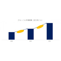 半導体プロセス用サーモプラスチックバルブの世界市場競合分析調査レポート2025-2031