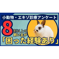 小動物・エキゾチックアニマルの動物病院受診実態調査：飼い主の84.7%が「困った経験あり」、専門医療体制の地域格差が浮き彫りに