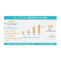 タングステンワイヤー加熱ガラス市場：世界調査報告書 - 需要、規模、開発、メーカーシェア、成長、動向、展望（2025年～2035年）である。
