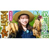 秋元真夏が鹿児島県でマロンゴールドを収穫体験！中身は黄金色で栗のように甘いさつまいも