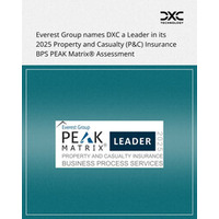 DXC、Everest GroupによるBPSプロバイダー評価で損害保険分野のリーダーに選出