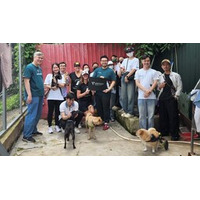 Vantage Foundationのボランティア、Laws for Paws Vietnamで保護犬に愛情とケアを届ける