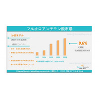 フルオロアンチモン酸市場：需要、シェア、動向、成長、機会およびインサイト分析（2025年～2035年）である