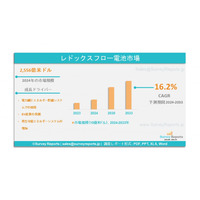 レドックスフロー電池市場の需要、規模、トレンド、成長、機会、開発、メーカーシェアおよび洞察分析（2024～2033）である