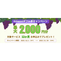 ホスティングサービス「ミライサーバー」が“Amazonギフト券キャンペーン”を2025年11月1日（土）～11月30日（日）に実施！