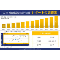 左室補助循環装置 （LVAD） 市場調査レポート - 世界市場規模、シェア、傾向の見通し、2025－2035年