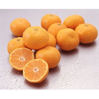 “長崎みかん“のPRイベントを大田市場で開催！