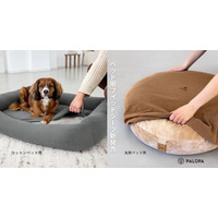 サステナブル素材で“長く使えるドッグベッド”に。ドイツ発「PALOPA」から“おしゃれで洗える”犬用ベッドシーツが新登場！