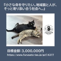 【徳島県　鳴門市役所】ガバメントクラウドファンディングに挑戦中！！